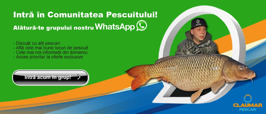 WhatsApp Community