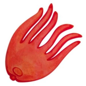 Opritor Momeala ZEBCO DB Series Bait Holding Flags, 20buc/pac