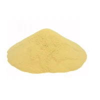 Extract Drojdie Sticky Baits Pure Yeast 1kg