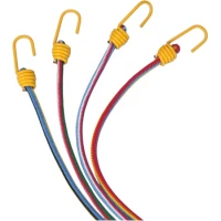 Coarda Elastica Cu Carlige Trem Standard, 8mm, 100cm