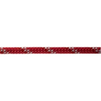 Parama Pentru Vela Robline Leech Line, 2.5mm, Rosu/argintiu