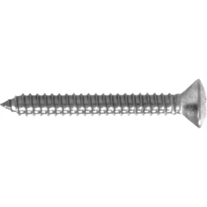 Surub Autofiletant cu Cap Inecat AQUINOX DIN 7983 4.8x19mm, 8buc/pac