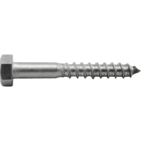 Surub pentru Lemn AQUINOX DIN 571 6x60mm, 2buc/pac