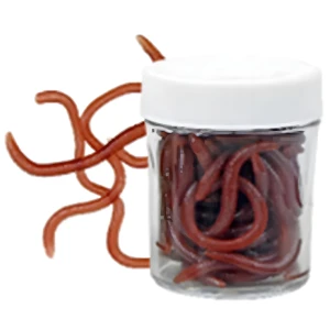 Rame Rosii de Pamant cu Aroma Konger Groundworm Artificial Soft Bait Scented