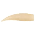 Viermi Artificiali Flotanti Fox Edges Essentials Pop Up Maggots  Viermi Artificiali Flotanti Fox Edges Essentials Pop Up Maggots