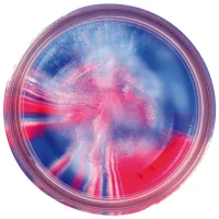 Pasta Berkley Powerbait Eu Glitter Trout Dough, Captain America Glitter, 50g Pasta Berkley Powerbait Eu Glitter Trout Dough, Captain America Glitter, 50g