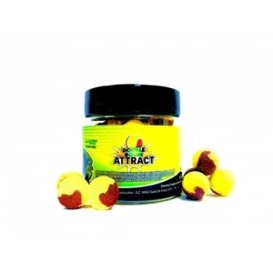 Boilies MG Special Carp Double Boom 15mm  ATTRACT    Boilies MG Special Carp Double Boom 15mm  ATTRACT