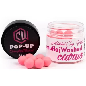 Pop Up Addicted Carp Baits Washed Infinity, Camuflaj, Cidrus, 10mm Pop Up Addicted Carp Baits Washed Infinity, Camuflaj, Cidrus, 10mm