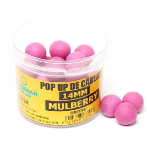 Pop Up Claumar Mulberry Purple 35Gr 14mm