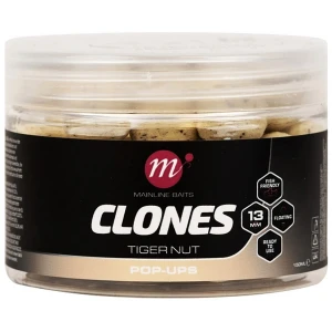 Pop Up Mainline Clones Alune Tigrate, 13mm