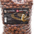 Boilies Baltacul Birdfood Tare Capsuni 20mm 5kg  Boilies Baltacul Birdfood Tare Capsuni 20mm 5kg