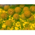 Boilies Claumar Fishmeal Nuclear Frankfurter 4kg 24mm