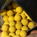 Boilies MAINLINE Shelf Life, Essential Cell, 10mm, 1kg