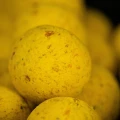 Boilies MAINLINE Shelf Life, Essential Cell, 10mm, 1kg Boilies MAINLINE Shelf Life, Essential Cell, 10mm, 1kg