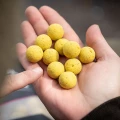 Boilies MAINLINE Shelf Life, Essential Cell, 10mm, 1kg Boilies MAINLINE Shelf Life, Essential Cell, 10mm, 1kg