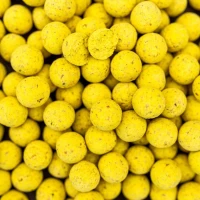 Boilies PRO LINE Scopex N-Butyric, 20mm, 5kg