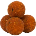 Boilies Tare AVID Carp Nutrition, Plum & Peach, 20mm, 1kg