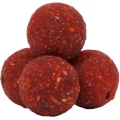 Boilies Tare AVID Carp Nutrition, Squid & Strawberry, 20mm, 1kg Boilies Tare AVID Carp Nutrition, Squid & Strawberry, 20mm, 1kg