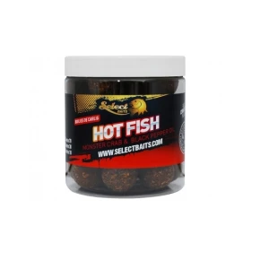 BOILIES SELECT BAIT CRITIC ECHILIBRAT HOT FISH 20MM