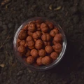 Boilies WLC Cocoon Mini Boilies, Red Squid, 6mm, 40g Boilies WLC Cocoon Mini Boilies, Red Squid, 6mm, 40g
