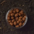 Boilies WLC Cocoon Mini Boilies Semi Solubil, No.1 Fishmeal, 6mm, 40g Boilies WLC Cocoon Mini Boilies Semi Solubil, No.1 Fishmeal, 6mm, 40g