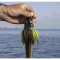 Jig Head FOX RAGE Buck Frog Small, Burbot, 25g, 1buc/pac