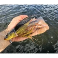 Jig Head FOX RAGE Buck Pike Large, Natural Pike, 56g, 1buc/pac