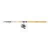 Combo Daiwa Poser 3.60m 50-100g + Mulineta DF 4000A