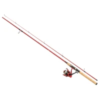 Combo Spinning BERKLEY Cherrywood 2.70m, 15-40g, 2seg + Mulineta Spin 3000