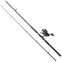 Combo Somn Penn Legion Cat Bronze Allround Catfish Combo 8000 Cmb, 3.02m, 400g