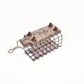 Cosulet Feeder FL Patrat cu Pini 60g Cosulet Feeder FL Patrat cu Pini 60g