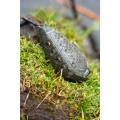 Cosulet Feeder KORUM Bait Gripper Feeder, 220g, 1buc/pac