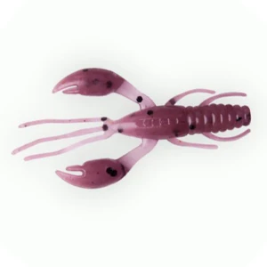 Rac Fanatik Raider 1.6 40mm 021 Plum UV Rac Fanatik Raider 1.6 40mm 021 Plum UV