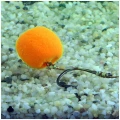 Wafters STEG Smoke Ball, 14mm, Capsuna, 40g 