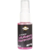 Atractant Dynamite Baits N-ticers Spray, Mulberry Florentine, 30ml