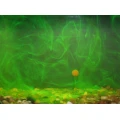 Atractant Lichid CPK 3D Dip, Monster Crab, 70ml Atractant Lichid CPK 3D Dip, Monster Crab, 70ml
