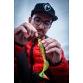 Grub FOX RAGE Pro Grub Loaded, 12cm, 17g, Natural Perch, 1buc/pac Grub FOX RAGE Pro Grub Loaded, 12cm, 17g, Natural Perch, 1buc/pac