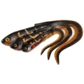 Grub Fox Rage Slick Eel, Burbot, 35cm, 1buc/pac Grub Fox Rage Slick Eel, Burbot, 35cm, 1buc/pac