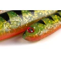 Grub Fox Rage Slick Eel, UV Perch, 35cm, 1buc/pac Grub Fox Rage Slick Eel, UV Perch, 35cm, 1buc/pac