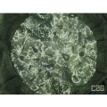 Palarie DELPHIN cu Plasa Anti Tantari C2G Shield Palarie DELPHIN cu Plasa Anti Tantari C2G Shield