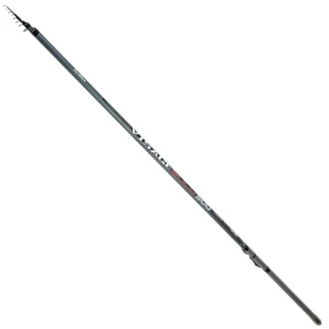 Bolognesa FORMAX Visage Bolo, 5.00m