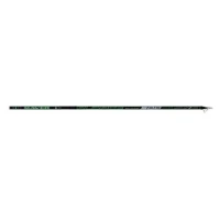  Lanseta bologneza Maver Audace 6m