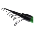 LANSETA BOLOGNEZA PRO FL MASTER ELITE 6.00M 5-30g
