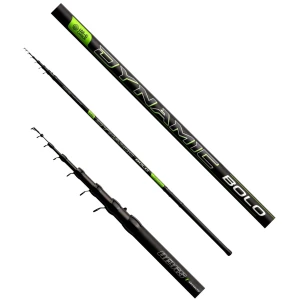 Lanseta Bolognesa Nevis Dynamic Bolo, 5-20g, 6.00m, 6seg Lanseta Bolognesa Nevis Dynamic Bolo, 5-20g, 6.00m, 6seg