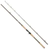 Lanseta Abu Garica Beast Pro Casting Rod H, 30-110g, 2.44m, 2seg