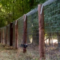 Lansete NASH Scope Corks 10FT, 3.00m, 3.50lbs, 2seg Lansete NASH Scope Corks 10FT, 3.00m, 3.50lbs, 2seg