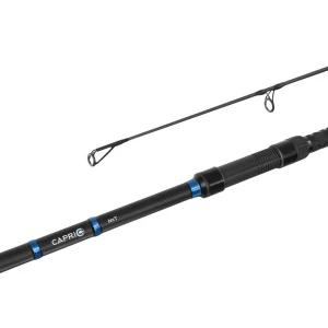 Set 2 Lansete Delphin CAPRI NXT 360cm, 3.5lb, 3seg