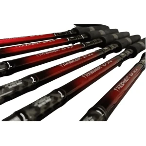 Lanseta DAIWA Tournament SLR Feeder 3.05m, 75g, 2+3seg