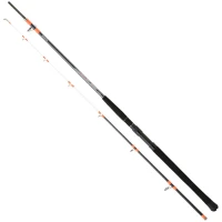 Lanseta DAIWA Megaforce Boat 21H, 2.10m, 100-300g, 2seg