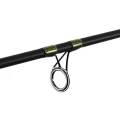 Lanseta Delphin Murena 2.70M 100g Lanseta Delphin Murena 2.70M 100g